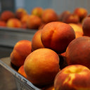 Fresh Perth Hills stone fruit used in Mulberry Pig condiments