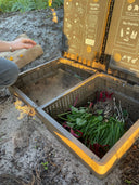 Inground worm farm used to compost food scraps from small batch jam and condiment production at The Mulberry Pig
