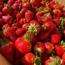 Fresh Strawberries direct from a local farm in Wanneroo, Perth